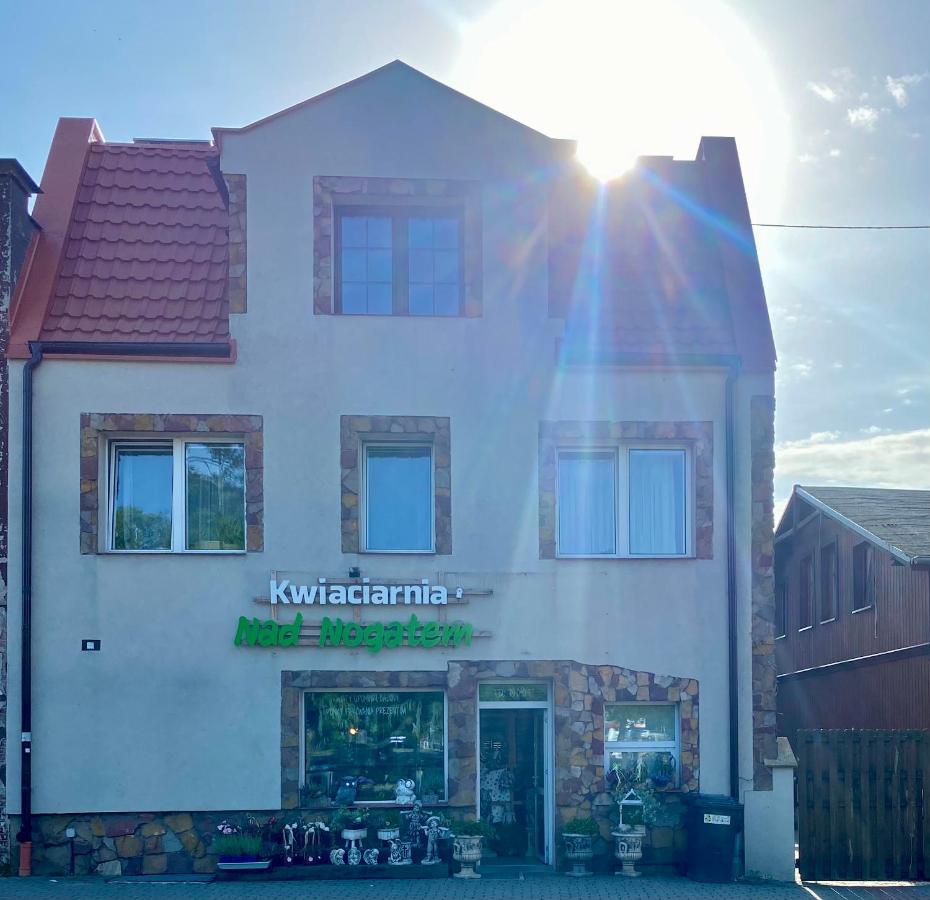 Glowna Apartamenty Nad Nogatem مالبورك المظهر الخارجي الصورة